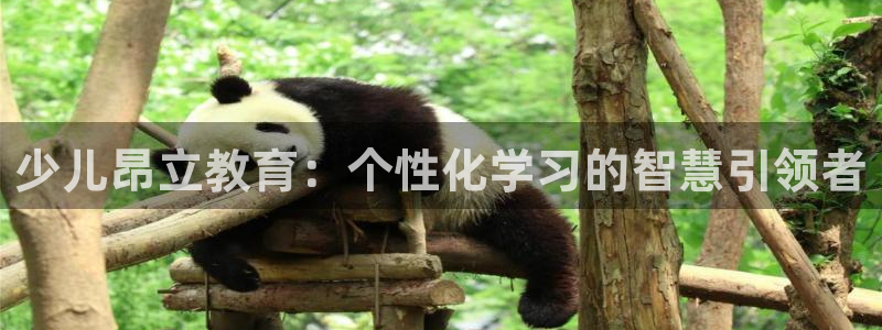 cq9游戏电子版