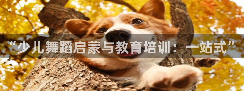 cq9电子这市集绝了
