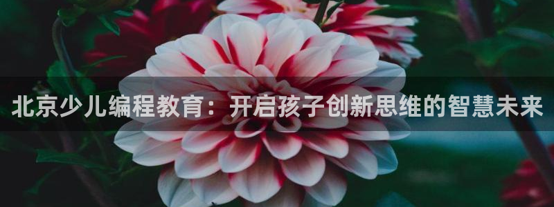 永利cq9电子
