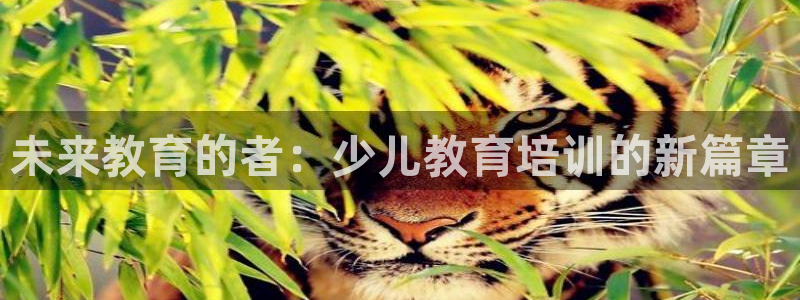 cq9电子8个灯