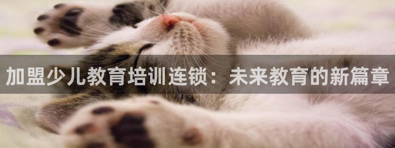 cq9传奇电子拳霸