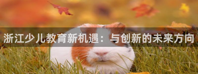 cq9电子忍者浣熊