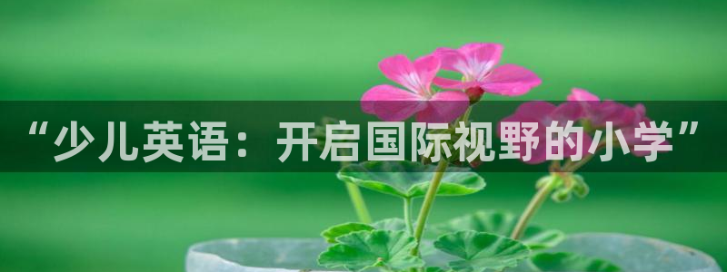cq9电子哪个好打点